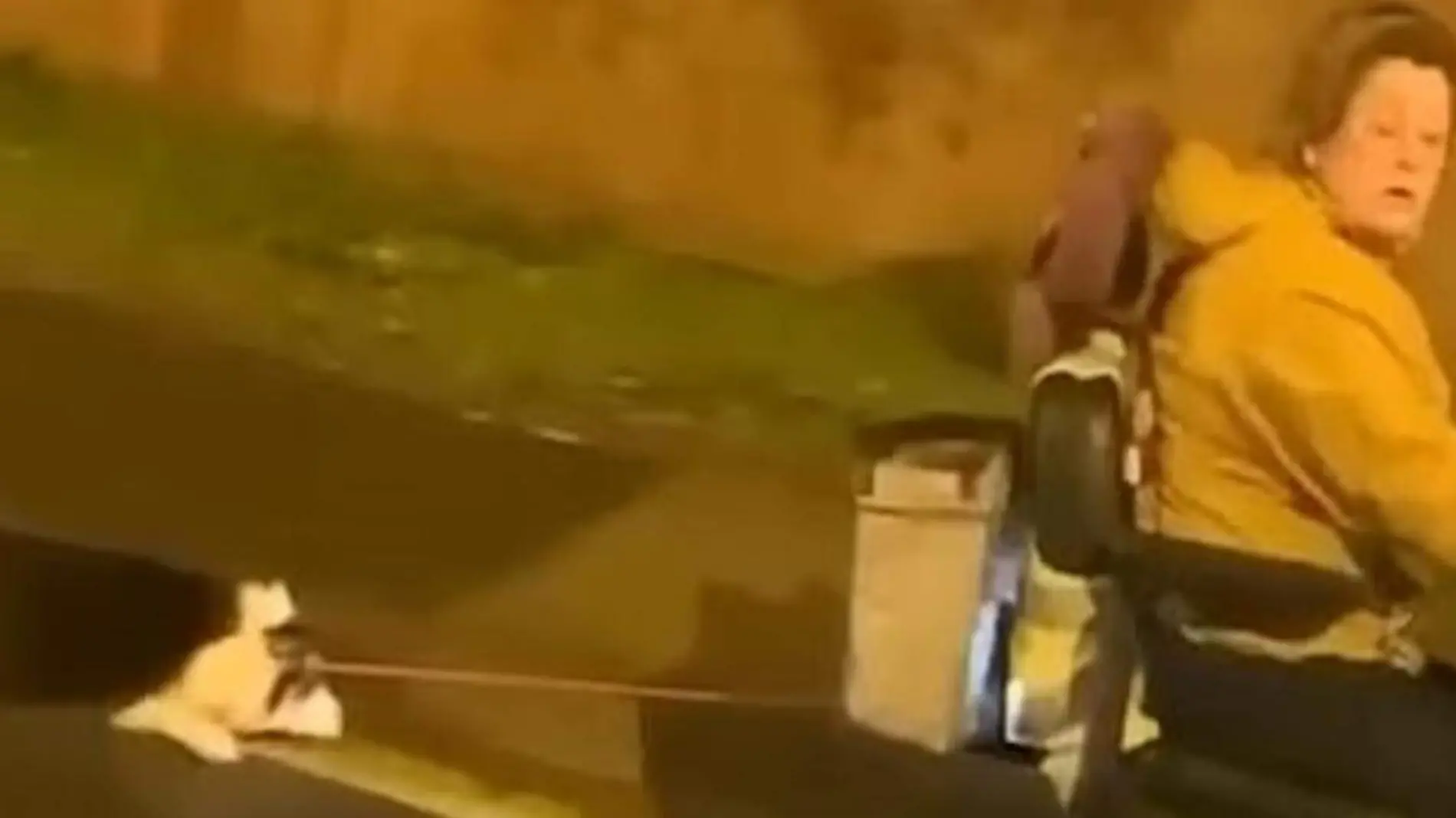 Un perro arrastrado por la carretera, por una mujer que conduce un scooter de movilidad